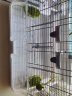 哈根哈利Vision鸟笼M01鹦鹉笼和尚牡丹小太阳中大型鹦鹉饲养笼子防飞溅 晒单实拍图