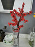 购优汇北美冬青鲜切枝鲜花束红果水培水养绿植植物室内春节年宵花卉真花 北美冬青(50cm)3支 不含花瓶 实拍图