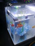 长锐侧滤鱼缸桌面办公室免换水生态水草超白水族箱 K260造景版【长27 宽21 高30】 实拍图