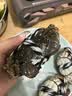 【活蟹】水淼鲜 洪湖大闸蟹鲜活螃蟹生鲜现货海鲜水产中秋礼盒 公2.7-3.0两 母1.7-2.0两 4对8只 实拍图