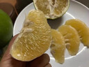 攸竹新鲜青皮葡萄柚子 黄金葡萄柚 爆汁葡萄柚 青皮西柚皮薄多汁肉嫩 5斤 普通装 实拍图