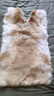 依花梦兔毛皮整张老兔皮本色家兔獭兔毛皮原料床垫盖毯护膝坐垫手工制作 牛黄优质老兔皮50X30厘米左右 毛面最长最宽测量算头尾 实拍图