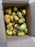 正宗小台农芒果新鲜水果10斤小芒果鲜果整箱应季当季海南热带水果 【老农亲选】商超果特大特甜 小台芒10斤整箱（JD快递） 实拍图
