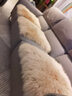 牧诺纯羊毛沙发垫真皮沙发垫子加厚长毛绒坐垫欧式皮毛一体羊毛毯 奶茶色 50*50厘米 实拍图