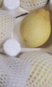 菲农 黄金鸭梨 5斤 单果200-250g 12枚 白鸭梨 脆甜冰糖雪梨 新鲜水果 实拍图