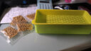 萌小贝 黄绿猫草盒+5包种子 无土水培猫草小麦种子盆栽去毛球猫咪零食 实拍图