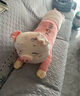 艾筱扬【当次日达】小猪猪抱枕公仔娃娃毛绒玩具睡觉抱七夕情人节礼物女 粉色眯眼（开心每一天） 1.5米 实拍图