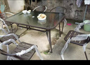 紫叶（ziye）户外阳台桌椅 休闲庭院座椅室外花园餐桌椅 简约现代 铁艺家具 升级款 8【椅】+1【150X90长桌】 实拍图