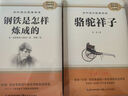 七年级下册必读名著：骆驼祥子+钢铁是怎样炼成的【套装2册】 初中七年级下语文教材名著导读推荐书目初中语文教材配套阅读赠阅读手册 实拍图