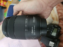 佳能/Canon 60D 70D 77D 80D 90D 半画幅 中高端单反 二手单反相机 数码相机 90D+18-135USM套机 99成新 实拍图