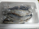青鱼东北沙丁鱼新鲜海鲜深海冷水鱼懒人之宝鲱鱼整箱 净重4斤(去头去尾去内脏) 单条7-8两 实拍图