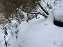 斐月伽防滑鞋套冰爪儿童成人登山户外雪地钉鞋钉徒步装备便携8齿雪爪 黑色5齿冰爪 5齿儿童【M码】23-34码一双 实拍图