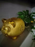 礼佳诚 金猪存钱罐大号创意萌猪纸币储蓄罐成人生日礼物陶瓷招财猪摆件 DC金猪储蓄罐16寸 实拍图