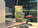 丘辰苔藓微景观生态瓶办公室内桌面绿植摆件DIY造景花卉盆栽生日礼物 一路有你（充电款） 晒单实拍图