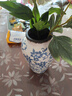 京东鲜花 中式陶瓷花瓶青花冰裂纹插花鲜花水培干花客厅高端装饰品摆件 实拍图