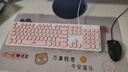 雷迪凯  机械手感键盘可爱女生 键盘鼠标有线套装 台式笔记本电脑办公键鼠套装 USB复古朋克键盘 单键盘-少女粉色 实拍图