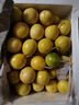 张小壮百香果 黄金果 广西钦蜜9号黄金百香果9号新鲜生鲜白香果水果 精选4.5-5斤约35-40个 实拍图