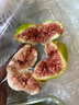骑猴赶马山东威海青皮无花果【顺丰空运】新鲜无花果鲜果青皮无花果新鲜 【净重1.8斤丨空运闪送】 实拍图