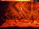 HANYANG雨淋沙2kg水草鱼缸底砂免洗红色化妆雨林造景沙龟缸水族养鱼用品 实拍图