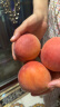 尙楚坊无锡水蜜桃 8个 单果200g+ 新鲜水蜜桃水果桃子源头直发包邮 晒单实拍图
