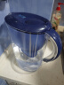 碧然德（BRITA）过滤净水器 家用滤水壶 净水壶 海洋系列 3.5L（蓝）+专家版滤芯5枚 环保加固包装 实拍图