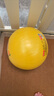 费雪（Fisher-Price）儿童玩具球宝宝小皮球拍拍球38cm(黄色含打气筒)生日礼物礼品 实拍图