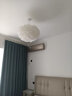 艺标 卧室大吊灯现代简约网红ins羽毛松果花朵南瓜卧室创意亚克力灯具 B款羽毛-30CM直径 LED16瓦三色光 三色光 实拍图