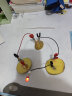 能恩智慧学生手工作业科技小制作小发明水果电池生物发电科学实验新年礼物 水果电池实验材料包 实拍图