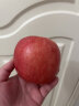 苹之都 烟台苹果水果红富士苹果新鲜脆甜整箱应季生鲜果山东特产平果 红富士带箱10斤 75# 实拍图