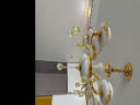 羽良 欧式客厅吊灯大气复式楼水晶餐厅卧室广东中山灯具套餐三室两厅 凤凰牡丹6头-三色调光 实拍图