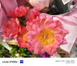 vivo X100s 16GB+512GB 白月光 蓝晶×天玑9300+ 蔡司超级长焦 7.8mm超薄直屏 拍照 AI 手机 实拍图