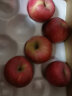 京鲜生烟台红富士苹果5kg一级大果 单果220g以上 新鲜水果礼盒 实拍图