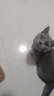 LION狮王日本进口宠物沐浴露猫咪狗狗通用洗澡沐浴露 (猫用)护肤型 自然草本香330ml 实拍图