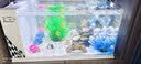 长锐侧滤鱼缸桌面办公室免换水生态水草超白水族箱 K600加热版【长63 宽27 高35】 实拍图