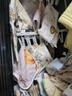 童泰秋冬0-6个月婴儿衣服男女宝宝连体衣2件装TS33J395黄色 59cm 实拍图