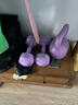 朗威壶铃哑铃女士健身家用器材男士竞技浸塑亚玲球提壶哑铃5-20磅健身 4.5kg =紫10磅+紫色女哑铃2kg一对 实拍图