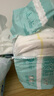 帮宝适【夏天散热王者】一级帮婴儿拉拉裤夏季超薄2XL50+6片 尿不湿尿裤 实拍图