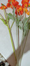 掬涵仿真花假花插花冰岛虞美人罂粟花婚庆节日装饰客厅卧室餐桌花清新 橙色单只（长56cm） 实拍图