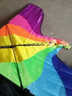 百特潍坊风筝百特彩虹七彩凤凰风筝 长尾飘逸 微风易飞 成人风筝 1.5米凤凰+18时尚蓝轮400米线 实拍图