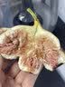 千果娘娘云南特产红皮无花果新鲜孕妇水果大果现摘即食煲汤火锅波姬红鲜果 红皮无花果5斤【单果40-80g】 实拍图