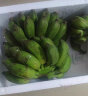 立始广西小米蕉酸甜小香蕉应季水果现摘青色地方特产（需催熟） 5斤 优选装 晒单实拍图