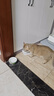 凯锐思天然猫粮成猫粮鱼肉蓝猫全价猫粮 【肠胃健康】 鱼肉味-4斤 实拍图