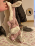 华元宠具（hoopet）猫咪衣服幼猫可爱四脚装冬季冬天保暖布偶猫无毛猫衣服宠物防掉毛 粉色兔耳朵四脚装-带绒款 XS-(建议1-3斤) 实拍图