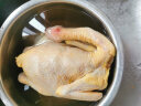 天农 供港农家土鸡1kg 山林散养清远走地鸡整鸡肉 冷冻 红烧煲汤食材 实拍图