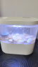 智汇 鱼缸水族箱客厅小型迷你桌面创意造景智能免换水生态玻璃金鱼缸 桌面鱼缸 低配（循环底滤+无极光+一键喂食） 实拍图