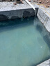 创宁鱼缸渔池循环变频潜水泵 水族箱安静抽水  水陆两用 鱼池假山过滤 升级款【超轻音200W】流量13000-25000 实拍图
