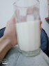 可瑞康（karicare）GOAT山羊奶粉升级版本900g婴幼儿专用配方奶粉澳洲进口 2段3罐升级版 24.8到期 实拍图