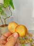 绅宝香葱王薄脆饼干零食独立小包装薄饼茶歇点心糕点休闲小吃招待年货 3口味混合装共1斤【约35袋】 实拍图