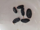 沙漠玉珠（SHAMOYUZHU）25年新货黑加仑葡萄干黑玫瑰无籽非黑加仑果干零食新疆吐鲁番厂家 特级葡萄干1斤【B款】 实拍图