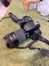 佳能（Canon）EF-S 55-250mm f/4-5.6 IS STM 单反相机镜头 55-250长焦相机镜头 半画幅相机镜头  实拍图